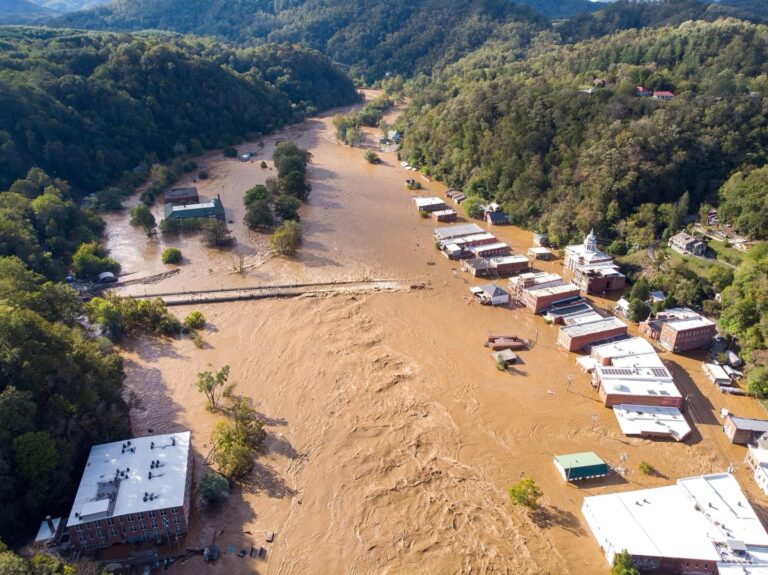 Struggling to Recover: How Hurricane Helene Hit North Carolina’s Local Farmers Harder Than Industrial Farming